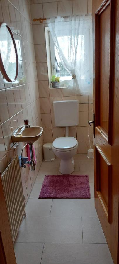 Ferienwohnung Seeberg Mit Almfeeling فيستينو المظهر الخارجي الصورة