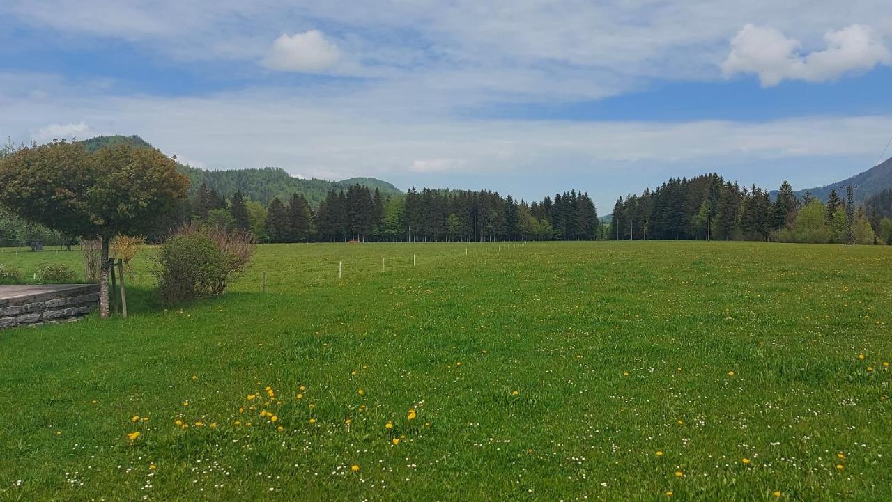 Ferienwohnung Seeberg Mit Almfeeling فيستينو المظهر الخارجي الصورة